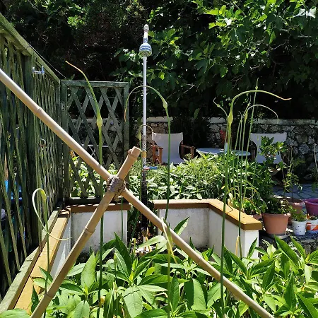 Fetsis Apartament